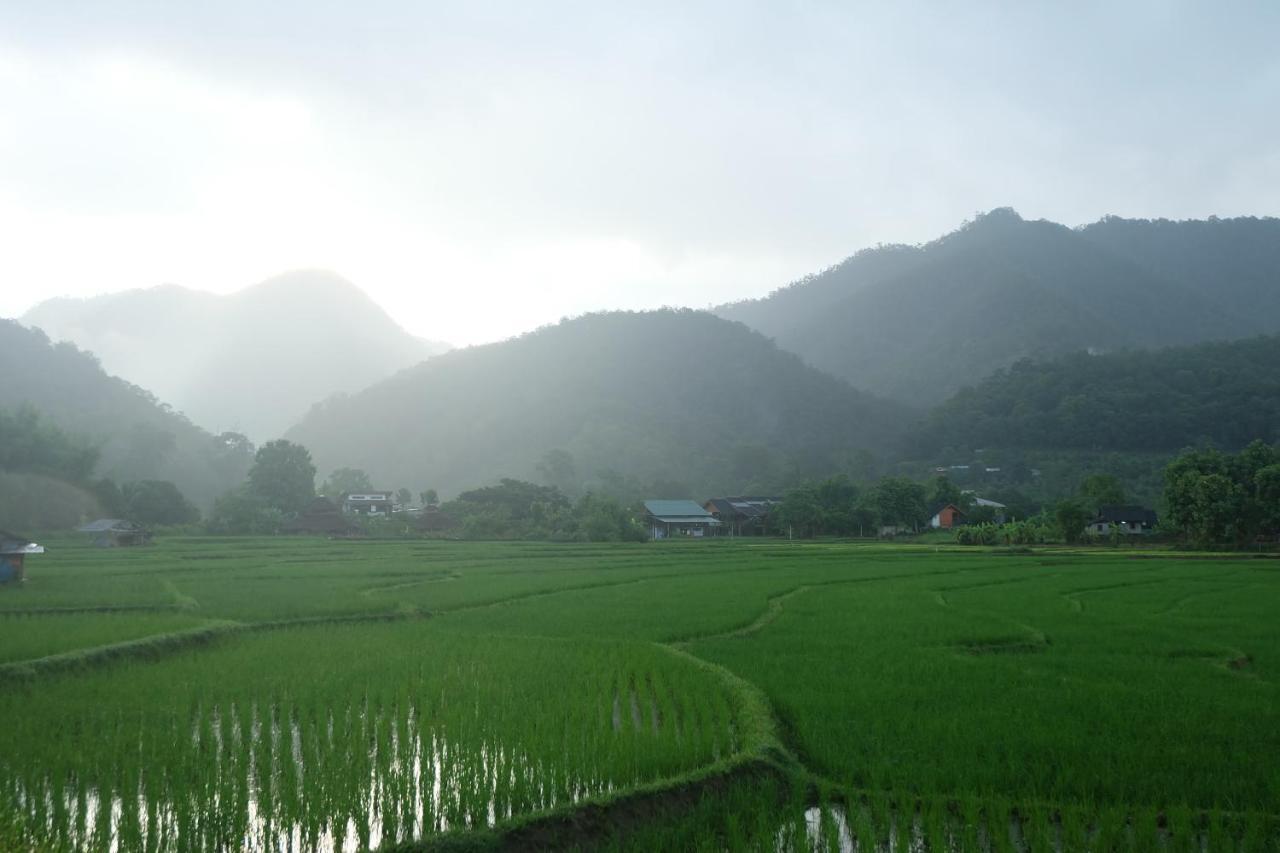 拜县农场民宿 外观 照片